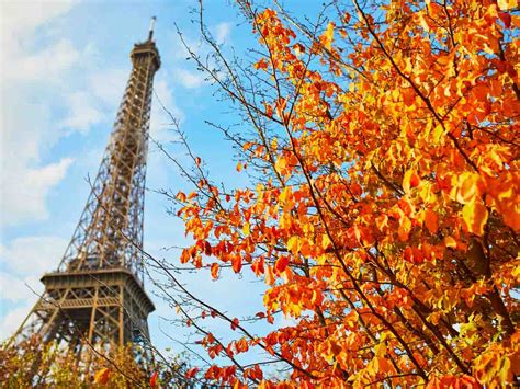 18 Fun Non Touristy Things To Do In Paris For An Amazing Trip Dreams