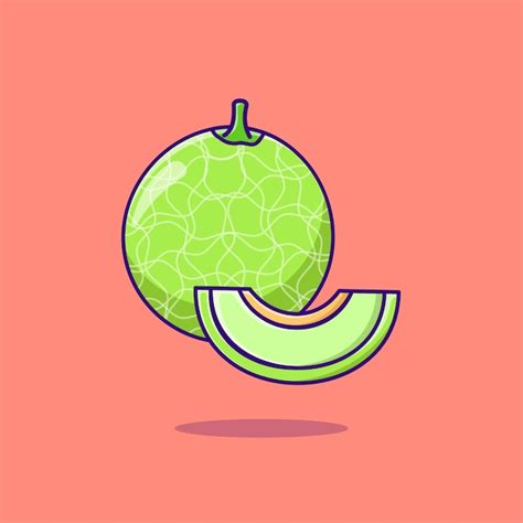 Premium Vector Melon Fruit Illustration Vector Isolated Icon