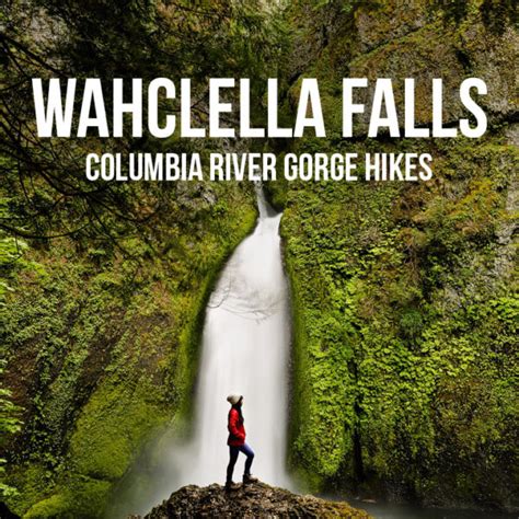 Wahclella Falls Hike Columbia River Gorge Oregon Local Adventurer
