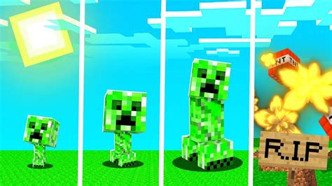 Ciclo De Vida De Um Creeper No Minecraft ComeÇa BebÊ E Termina Explodindo Youtube