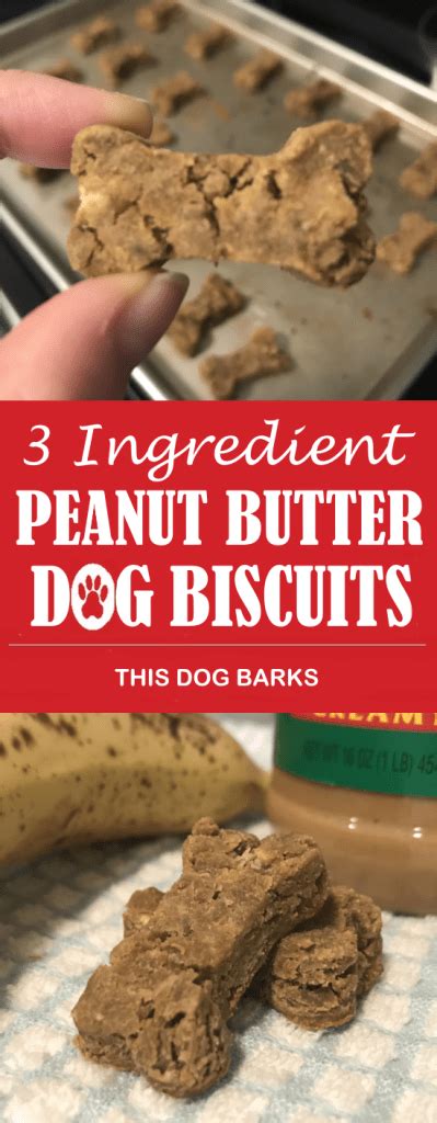 3 Ingredient Peanut Butter Dog Biscuit Recipe Grain Free