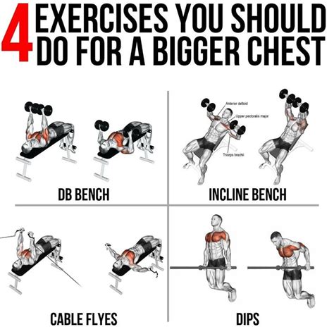4 Exercises For Bigger Chest Chest Workout For Mass Chest Workout