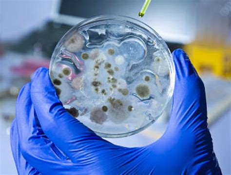 National Experts Warn Of Synthetic Bioweapons Danger Learn More
