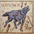 Los Lobos - How Will The Wolf Survive? (Vinyl) | Discogs