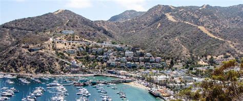 Catalina Island Customers Frequently Asked Questions Customer