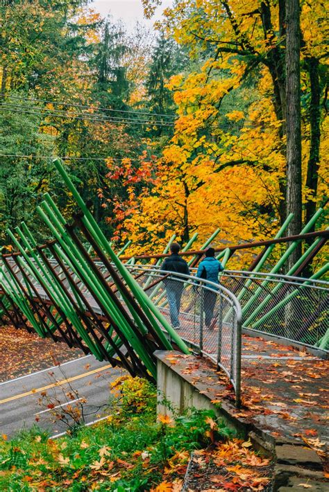 25+ EPIC Hikes Near Portland That Prove We Live in an Outdoor Paradise