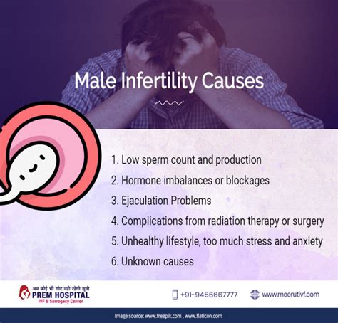 The Most Common Causes Of Male Infertility Best Ivf Hospital In Meerut