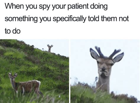 30 Funny Nursing Memes Doctors Will Probably Get All The Credit For Making
