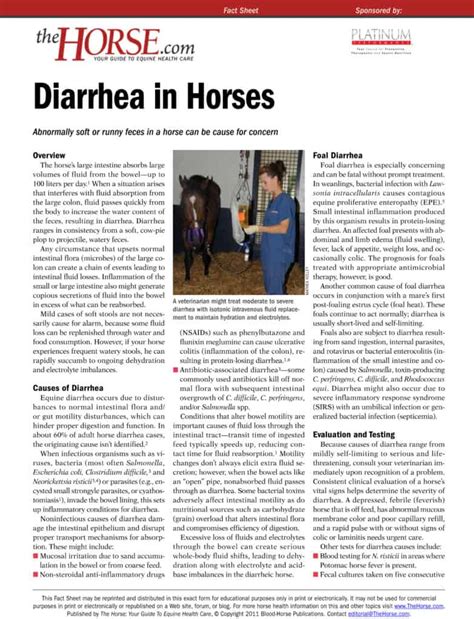 Diarrhea The Horse