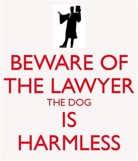 Hilarious Lawyer Joke Ts In 2020 Law Quotes Lawyer Jokes Lawyer