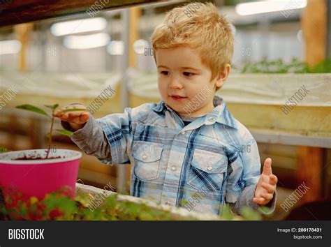 Boy Planting Seeds Image And Photo Free Trial Bigstock