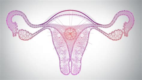 Artificial Ovary Gives Hope To Young Women With Cancer Huffpost Uk Life