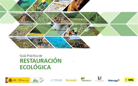 Guía Práctica De Restauración Ecológica Comunidad Ism