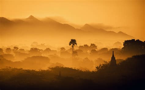 1920x1200 Myanmar Forest 4k Sunset 1200p Wallpaper Hd Nature 4k