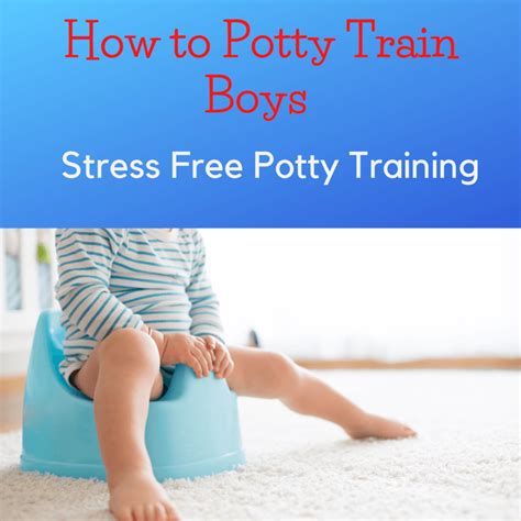 How To Potty Train Boys Tips For A Stress Free Potty Training The