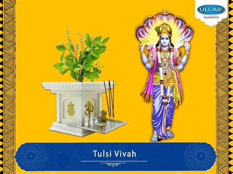 Tulsi Vivah Is Celebrated On The Dwadashi 12th Day Of The Shukla