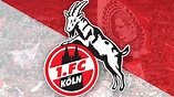 1. FC Köln - Vereine - Fußball - sportschau.de