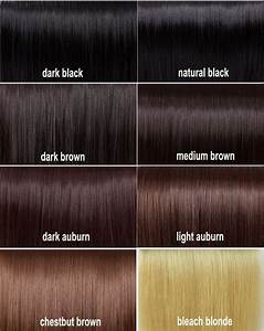 Shades Of Brown Hair Color Auburn Hair Color Purple Light Hair Color