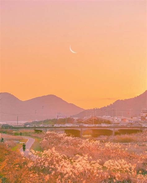 Pin By Kaylin On Diary 001 ଘ੭ˊᵕˋ੭ Peach Landscape Beautiful