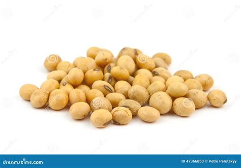 Soybean Isolated Stock Photo Image Of Agriculture Produce 47366850