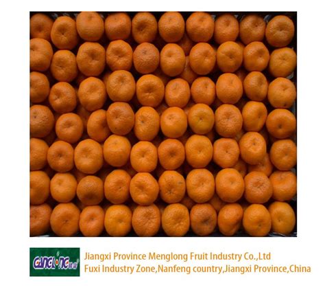 Fresh Nanfeng Mandarin Orangechina Ganlong Price Supplier 21food