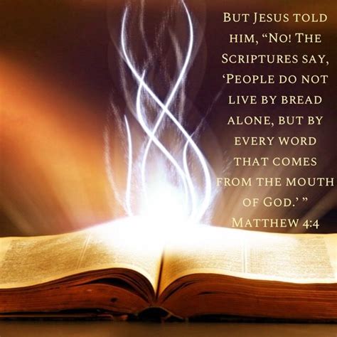 Pin By Lana Swanson On Gods Word Bible Apps Scripture Words