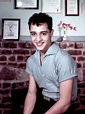 Sal Mineo - We'll Never Get Over These Hollywood Stars Who Died Too ...