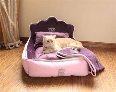 Sleeping Purrty Best Cat Beds You Can Buy Online