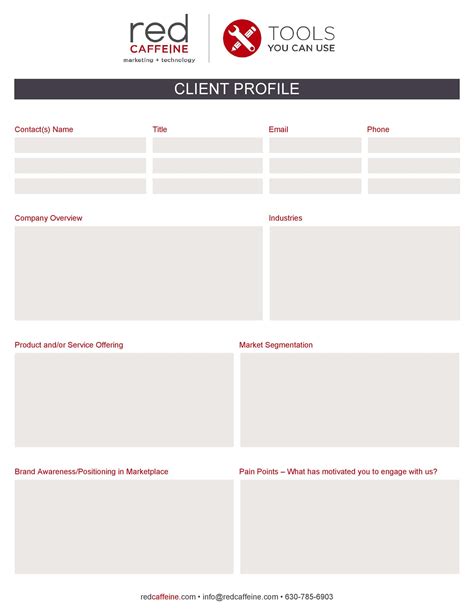 Ideal Customer Profile Templates Word Excel Templatelab