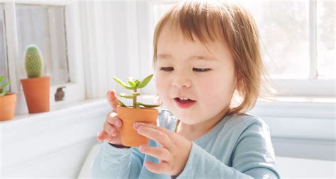 Preschoolers Shop Babycues Nurture With Nature