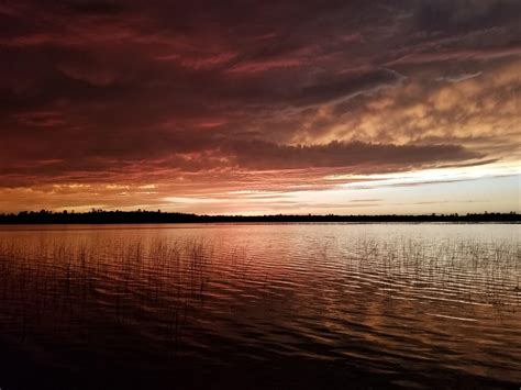 Oc Sunset On Black Water Lake In Longville Minnesota 4032x3024 R