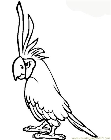 Parrot Coloring Page For Kids Free Parrots Printable Coloring Pages