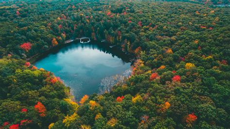 Nature Landscape Water Lake Michigan Forest Trees Fall Wallpapers