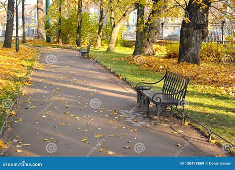 Autumn Park With Fallen Leaves And A Bench Stock Image Image Of