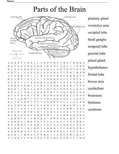 The Brain Word Search
