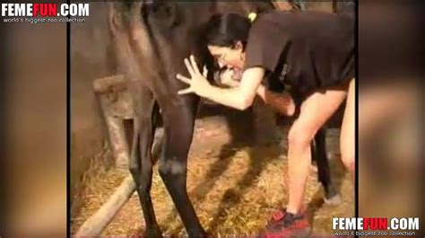 Pornopgrapher Takes Xxx Pictures Of The Brunette Sucking Horses Dick