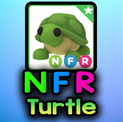 Nfr Turtle Adopt Me Szczerców Kup Teraz Na Allegro Lokalnie