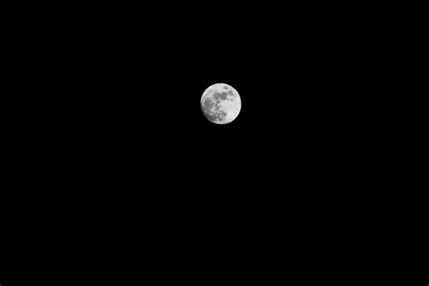 무료 이미지 검정색과 흰색 분위기 공간 어둠 밤하늘 보름달 월광 원 천문학 기분 밤 사진 밤의 달 천체