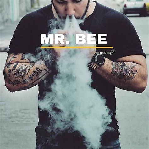 Mr Bee 🐝👑 Twitter Instagram Youtube Facebook Twitch Linktree