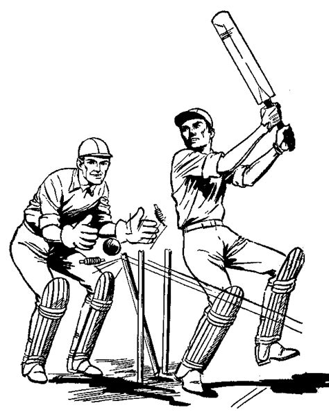 Clip Art Image Of Cricket Clip Art Library