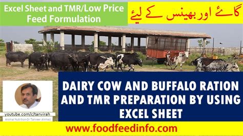 How To Formulate Tmr And Ration For Dairy By Excel Sheet Foodfeedinfo