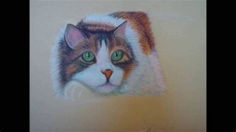 Cat Soft Pastels Painting Demo By Veronica Flynn Youtube