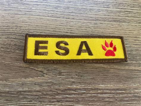 Embroidered Esa Patch Esa Emblem For Harness Tactical Etsy