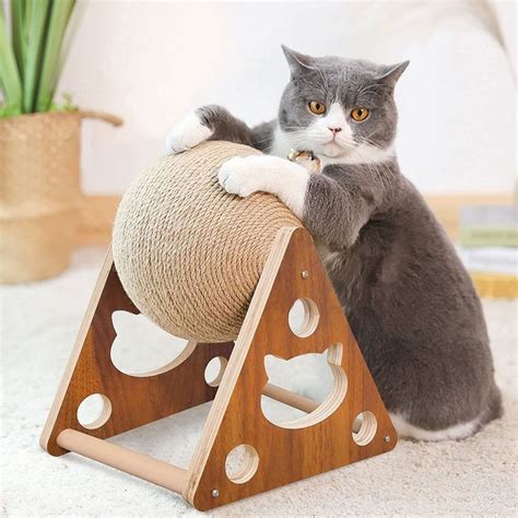28 Best Cat Toys And Products For Picky Cats