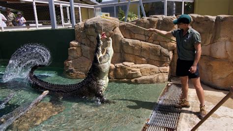 Crocosaurus Cove Entry And Swim With The Crocs Darwin Adrenaline