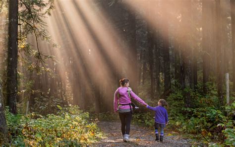 The Healing Power Of Nature Blessing Landscapes