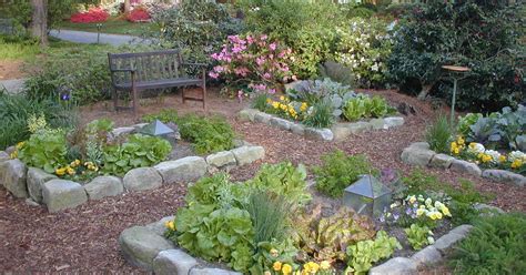 Beautiful Front Yard Vegetable Garden Its Organic Too