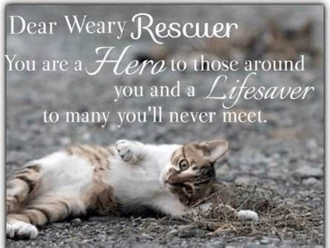 Pin On Animal Rescue Quotes