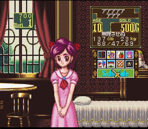 Princess Maker Legend Of Another World Game Giant Bomb