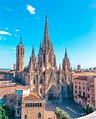Barcelona Cathedral, The Jewel Of The Gothic Quarter - SerenTripidy